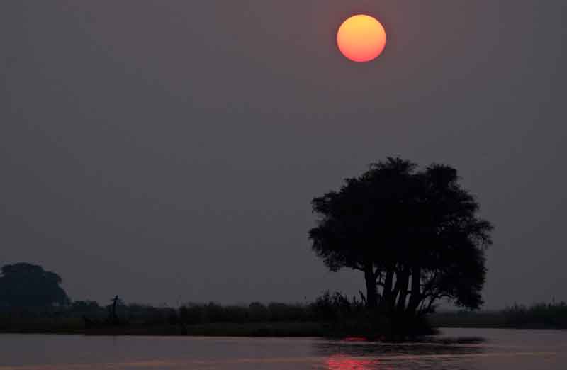06 - Botswana - parque nacional de Chobe - atardecer